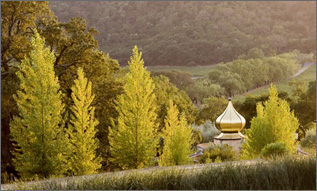 Quixote Winery